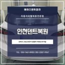 에이스덴트칼라