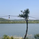 여주-0528 이미지