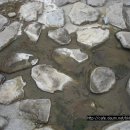 상천리-3 이미지