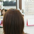 한선화 프로헤어 이미지