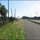 올레목장 이미지