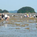 서천갯벌체험글램핑 이미지