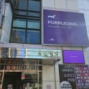 송파와인바[퍼플독]7가지 와인 테이스팅 와인취향 맞추기