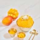 🍧 2025년 호텔 빙수 가격 총정리 | 15만원짜리 빙수의 비밀과 가성비 분석