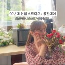 [서울 성수] 장소대여 스튜디오 /방송 촬영 및 파티룸 앵무새루이스