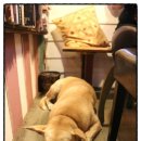 월하민박 이미지