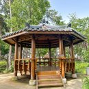 서산소나무힐링 이미지