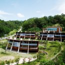 고란길(길안면) 이미지