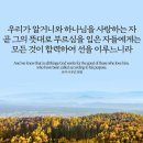 오늘의 영어성경 사진'(908강) “선을 위해서 일하세요”(로마서 8장 28절) 이미지