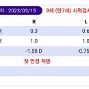 리:본 안경 이미지