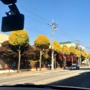 세븐일레븐 충주돈산점 | 2411월 어느날 사진일기4_