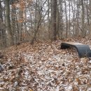 덕정2리 이미지