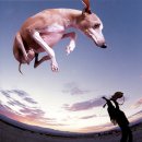 Paul Gilbert - Flying Dog (1999) 이미지