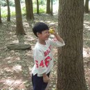 묵향유치원 이미지