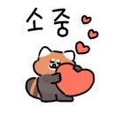 세라몰 이미지