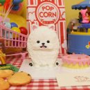 해피테일 이미지