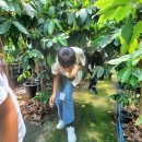 찬구농장 이미지