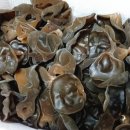 생목농장 이미지