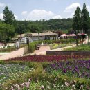 무릉도원 이미지