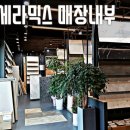 우드세라믹스