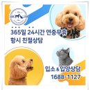 아이조아요양보호소 부산점 이미지