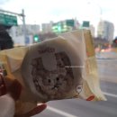 테이쑤티 이미지