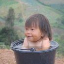 목욕 Daum카페