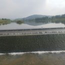 솔비농장 이미지