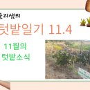 내동면시민텃밭 이미지