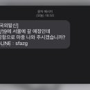 요란 이미지
