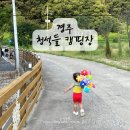 청석들캠핑장 이미지