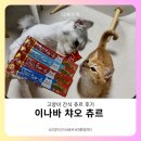 고양이 간식 “이나바 챠오 츄르” 솔직후기