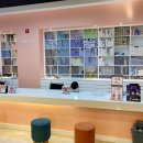 스타일박스 안경.콘택트 이미지