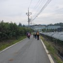 제1541차 10월02일(목).경북 경산 금박산(金泊山)과 아방산 이미지