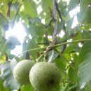 내곡3리 이미지