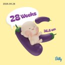 럭키실사광고 | [27 - 29w] 장마 전에 이 날씨를 즐겨야한다. 패션집순이의 임신중기 일상 모음🌱 / 만삭촬영 / 양재천...