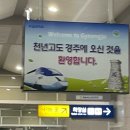 스시드새우 황성점 이미지