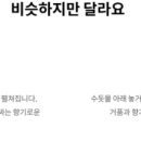 러브보트 네이버블로그