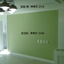 에코벽지인테리어 이미지