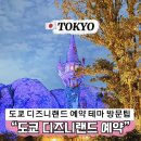 도쿄 디즈니랜드 입장 티켓 테마 할인