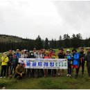 산울림트래킹