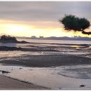 다원월드 이미지