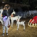 동화나라로 풍덩 이미지