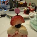Lovely | 애프터눈 티 후기 | 벚꽃 뷰는 실패했지만 디저트는 찐 맛집 Lovely Strawberry 예약, 메뉴 솔직후기