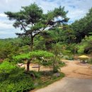 달의 정원 이미지