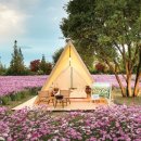 순천만정원하우스 이미지