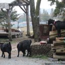 고궁민박 이미지