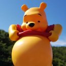 아우라짐 이미지