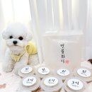 견물화식 | 기호성 좋은 강아지 건강화식, [견물생식] 견물화식세트 후기