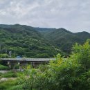 가탄교 위 Daum카페